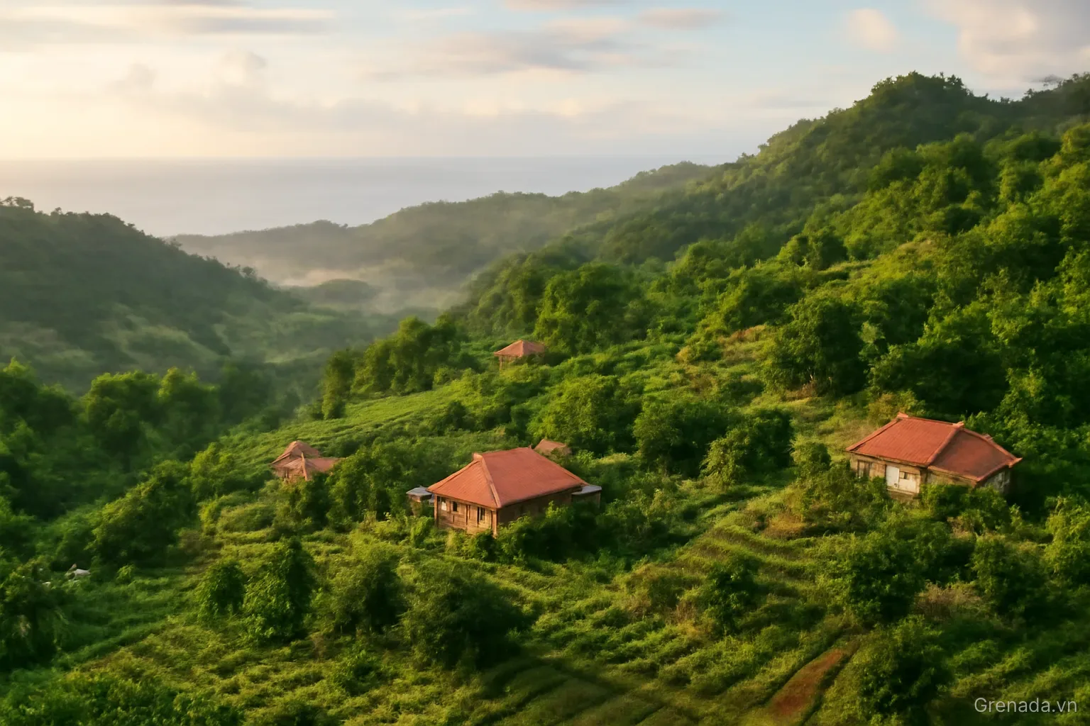 Nông nghiệp và phát triển nông thôn ở Grenada: Từ gia vị truyền thống đến bền vững hiện đại